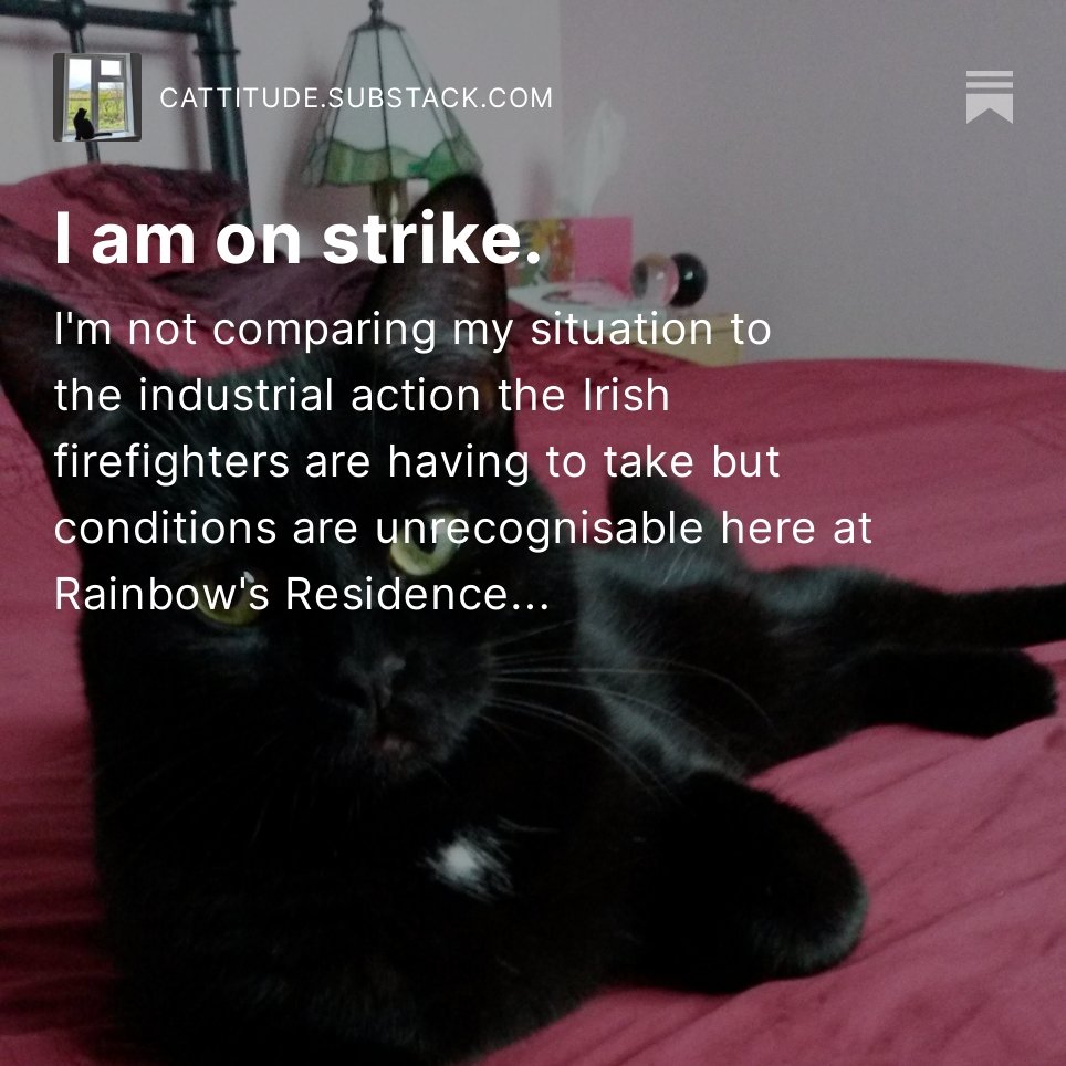 No more DAILY meowsages from teh MagnifiCat... she'll do what she feels like doing when she wants to do it.

Because cat.

cattitude.substack.com/p/i-am-on-stri…