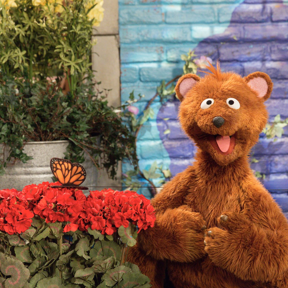 sesamestreet's tweet photo. Flowers, butterflies, and Baby Bear, oh my! Let this be your reminder to slow down, breathe deeply, and appreciate the present moment. #SelfCareSunday 🍃 🦋 🌹 https://t.co/LNnhdNzNBm