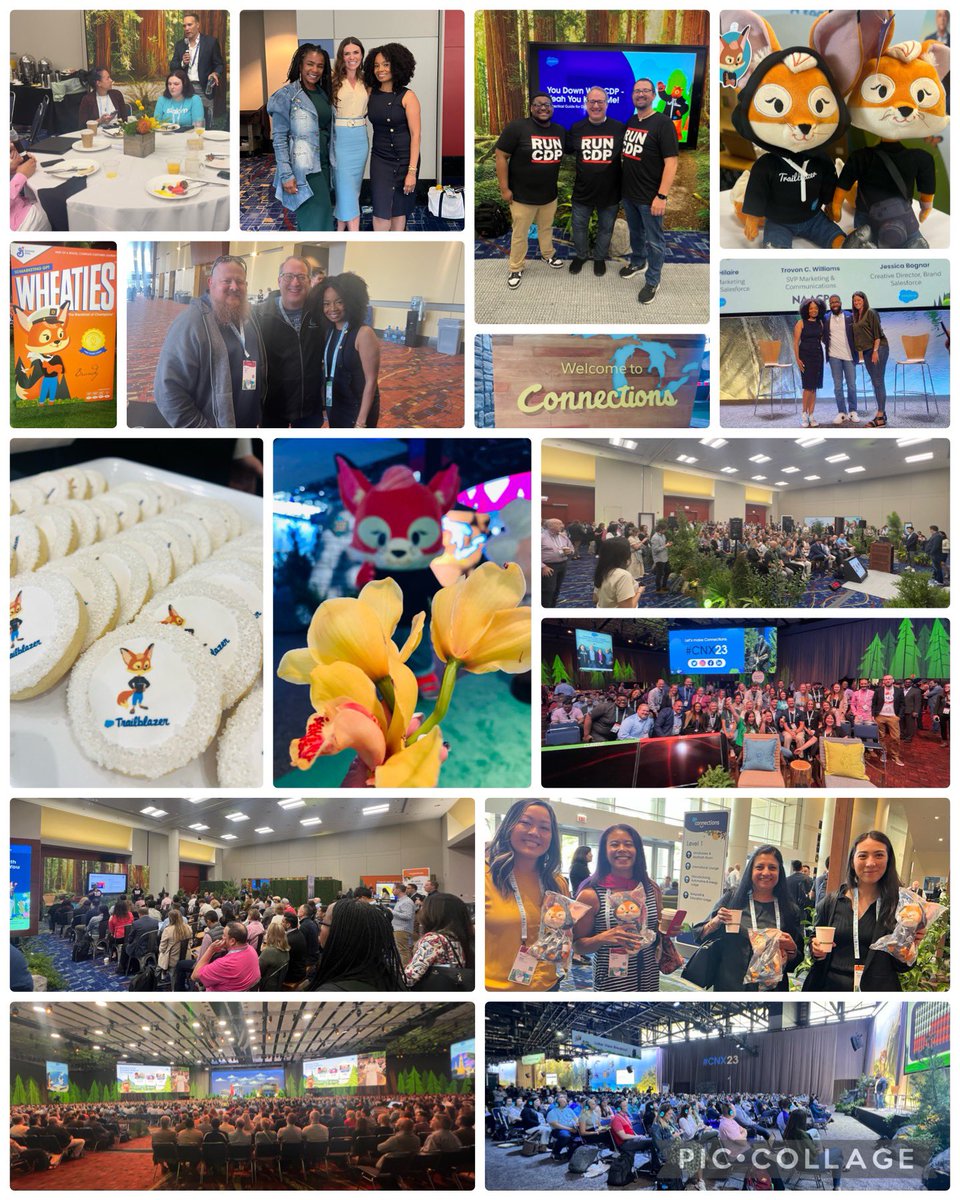justguilda's tweet photo. OMG #CNX23 was a RUSH 💨 (in the best way possible)! Hopefully everyone left with new knowledge 🧠, new connections 👥, and a new perspective on how magical Marketing can be 🪄

#CNX23 #Salesforce https://t.co/vETf3qbVYJ