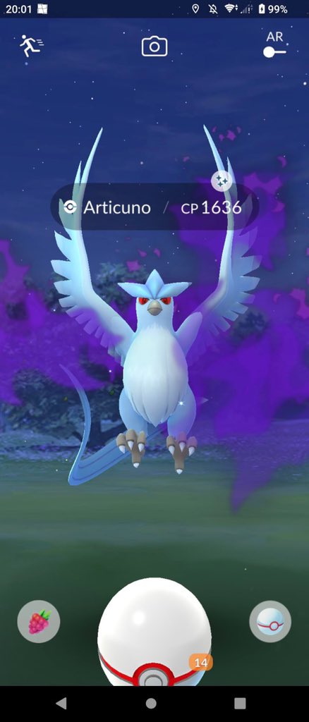 FleeceKing on X: Shadow shiny Articuno! 🤩 ❄️ ✨ Retweet for shiny luck 🍀  #PokemonGO  / X