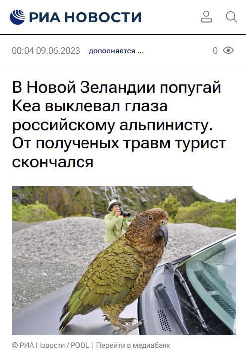 Nick Basenko tweet media