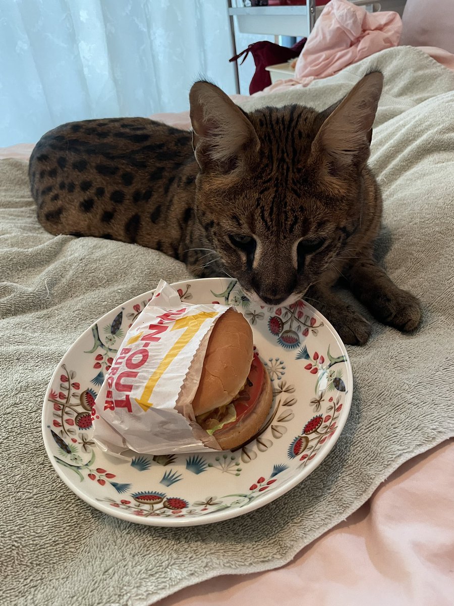 I think he knows when he’s supposed to pose for a photo now