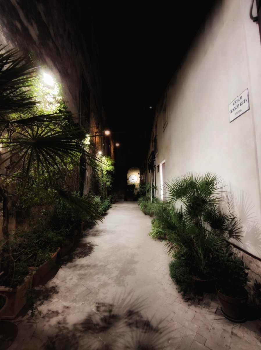 Vicoli onirici
#photography #fotografia #oldtown #centrostorico #piante #plants #notte #night
