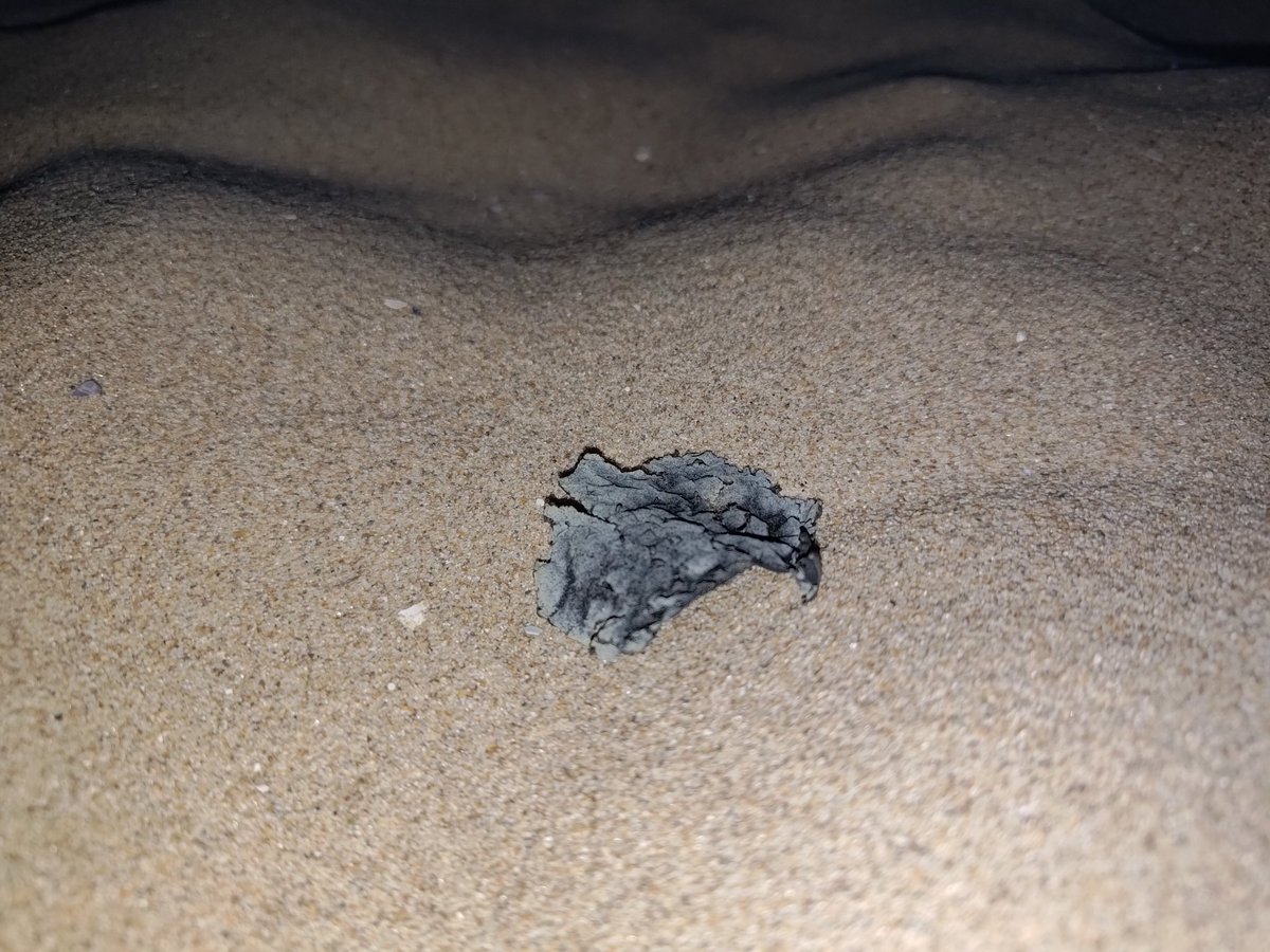 Grote stukken as dalen neer op het strand van Katwijk
#brand Ter Aar