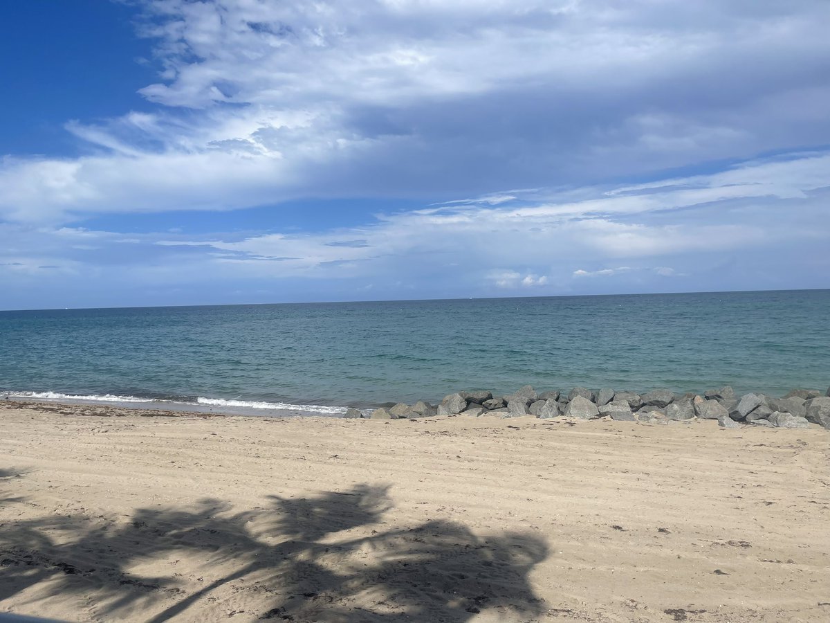 Lauren Jones MD D.ABA tweet media