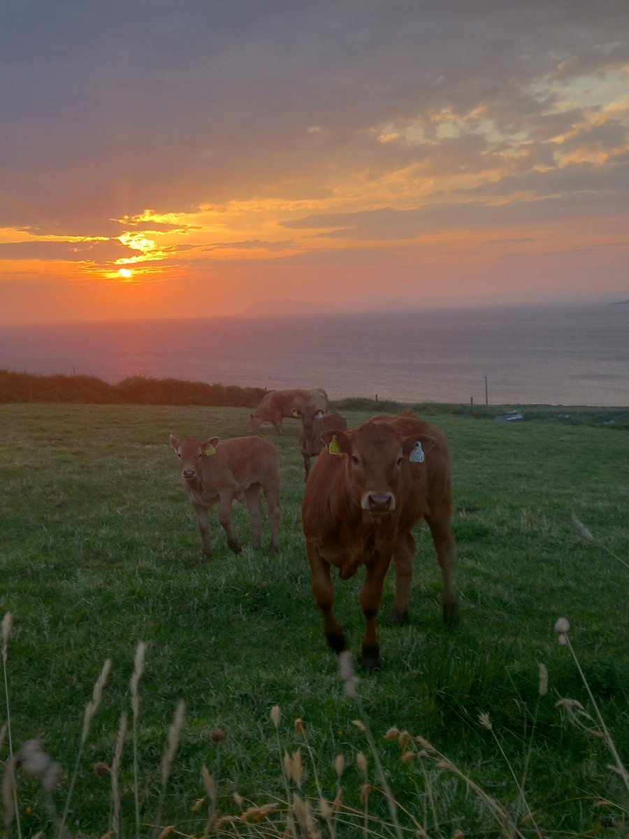 21:30pm Skies...🧡

#June9th #Sunset 
#Allihies #Beara #WestCork 
#PureCork #StormHour