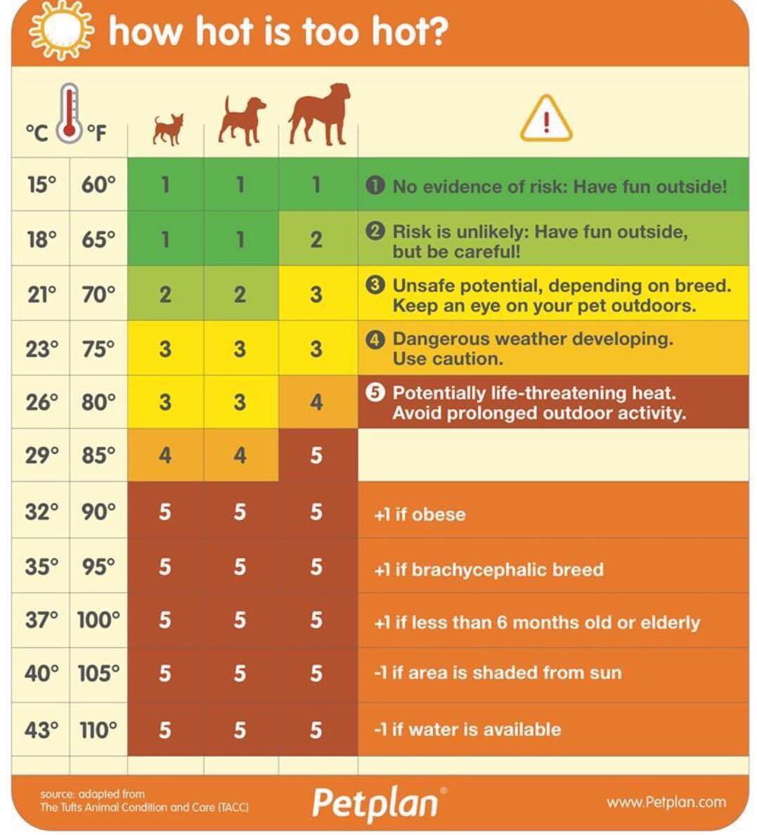 Hey Dogfather Super Fans, one we’ve shared before, but a really useful guide as those temperatures start to rise ☀️ 

#heatwave #summer #dogs 

<a href="/PetplanUK/">Petplan UK</a>