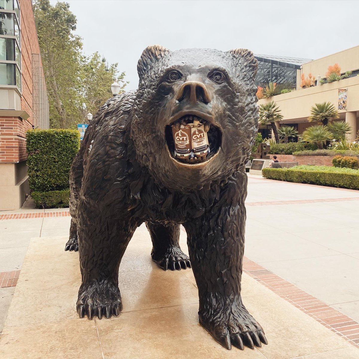 CVTSoftServe's tweet image. This is pure insanity!?! I can't believe that I get to say this, but CVT will now be available on campus 🤯⁣
⁣
I gave all of my money to USC, and now the lovely folks at UCLA are helping me pay back my debt. ⁣
⁣
#HouseDivided