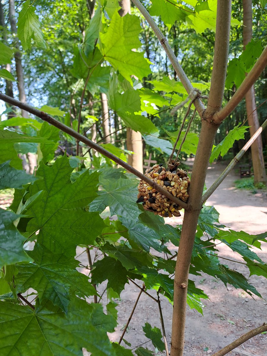 Love our school days at <a href="/Wentworth_House/">Wentworth Woodhouse</a>. Today we completed a percy the park keeper badge. We played hide and seek,made a bee nature art piece, read the book in the gardens,had a picnic and made bird feeders