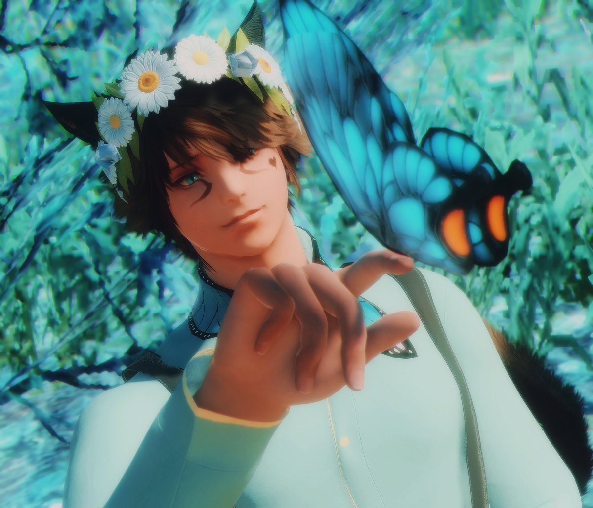 TheMajorCatboi tweet media