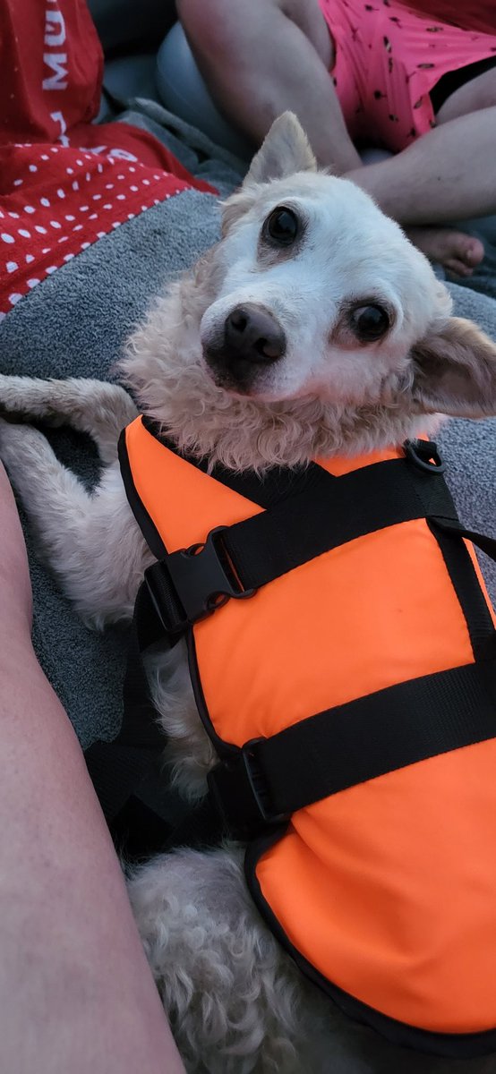 Michelleeee tweet media