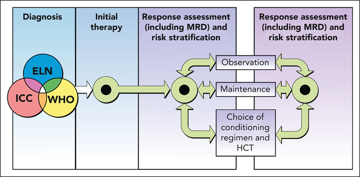 How I treat AML incorporating the updated classifications and guidelines loom.ly/CXxdUqE