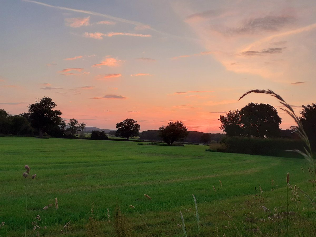 A lovely calm evening walk. #Shropshire #DailyWalk #loveukweather