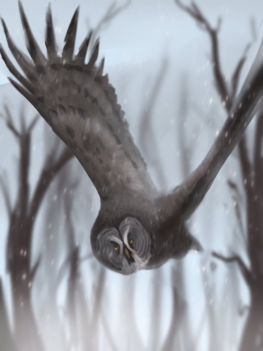 Gray owl ! Practicing with a brush I like :)

#birds #owl #digitalart #artist #Procreate #Practice #progress #grayowl #art