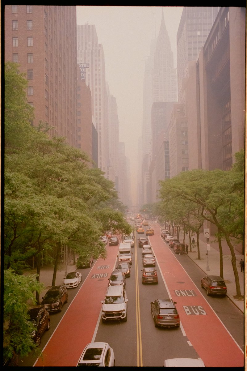 jane_kim tweet media