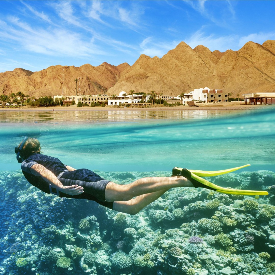 SD_Egypt's tweet photo. #StartInEgypt🇪🇬
Week 22'23 | Issue No. 41 | 🌞 #Summer's heat is striking... But nothing stops #entrepreneurs here 🚀
https://t.co/shGRFkITZi https://t.co/YxQW4hQEKi