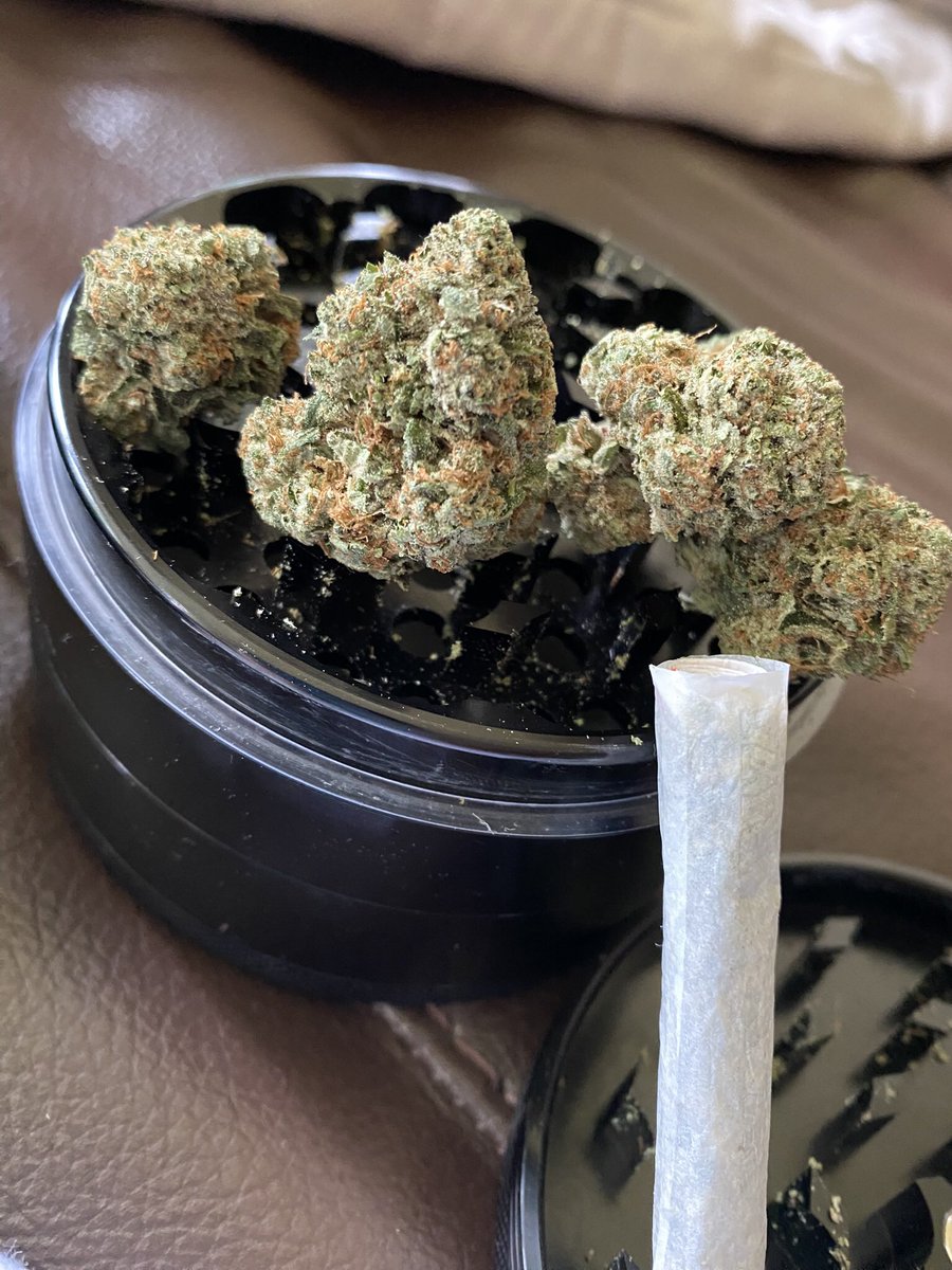 Twenty2F's tweet photo. Met up with Jeff from @SmokerFarms is a genuine, kind dude w great herb as this #masterkushultra hits hard. That old school whiplash to the face stone, amazing. 👍🎯🔊 https://t.co/zPFbeddJSF