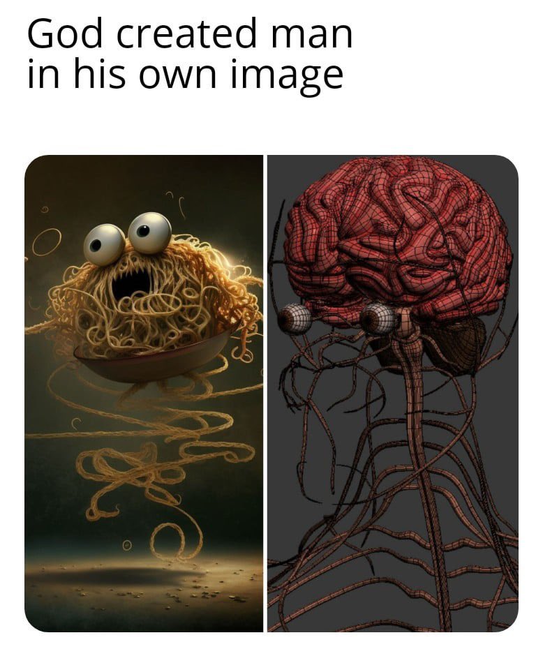 s8n's tweet photo. wtf kinda drugs was God taking https://t.co/5VL2elpgQE