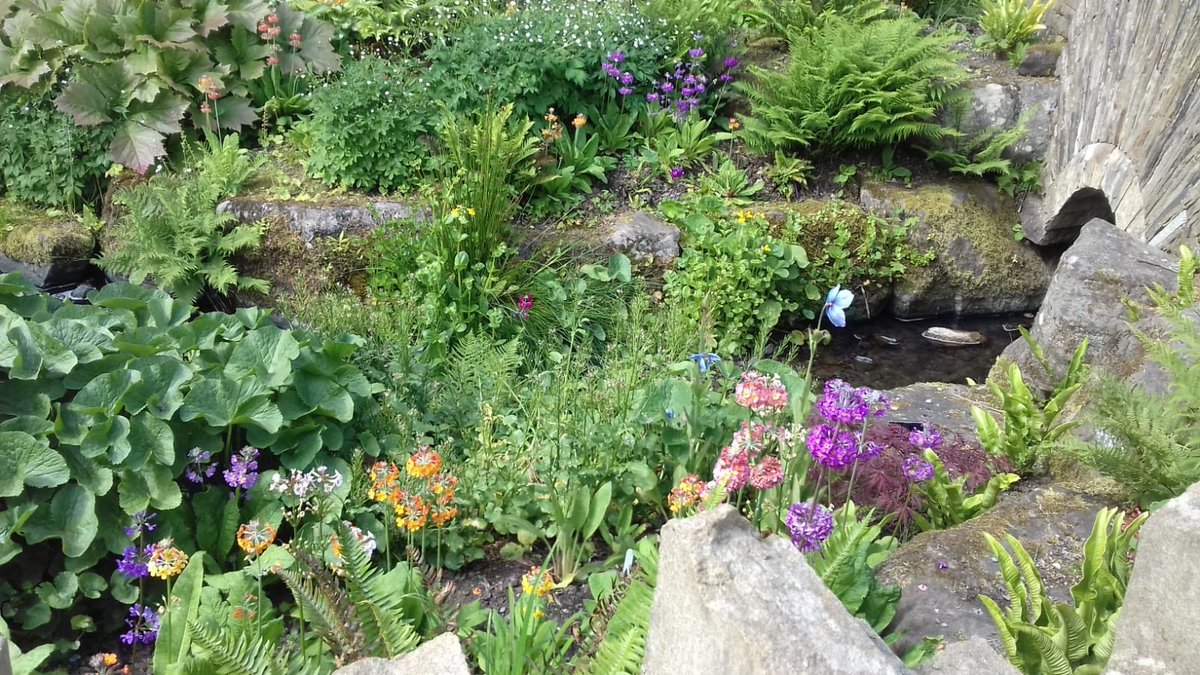 Smithy555Debi's tweet photo. Harlow Carr looking gorgeous #harrogate#northyorkshire https://t.co/NF0V9Tte9X