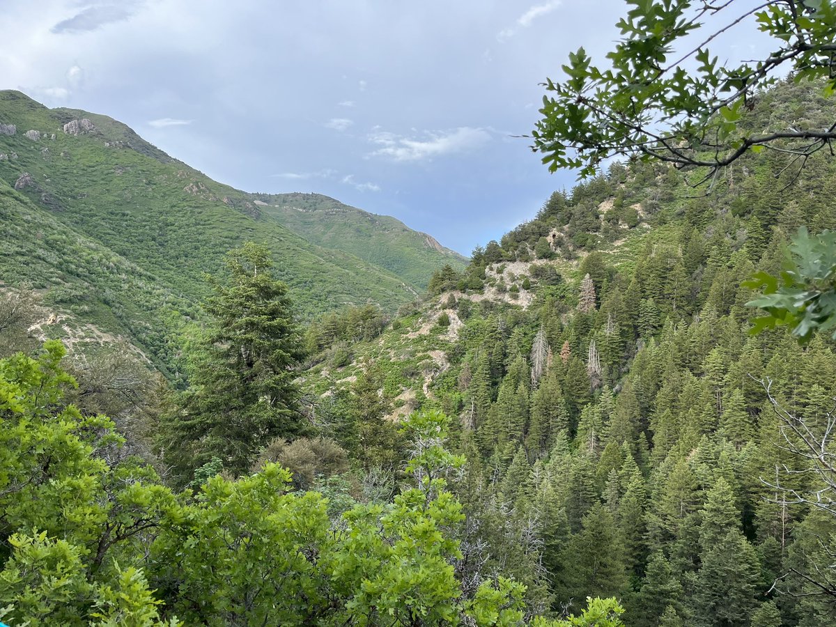 Stephani Itibrout tweet media