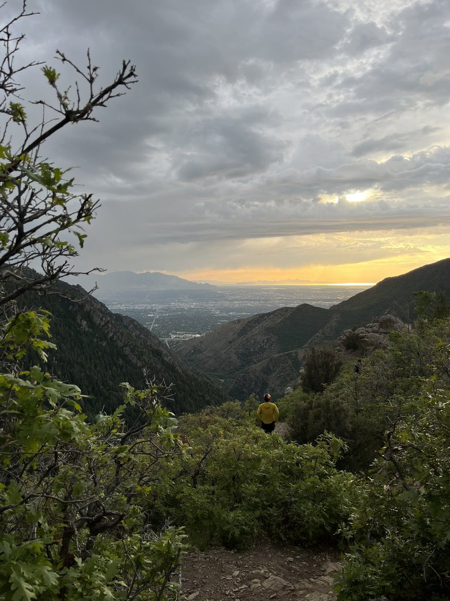 Stephani Itibrout tweet media