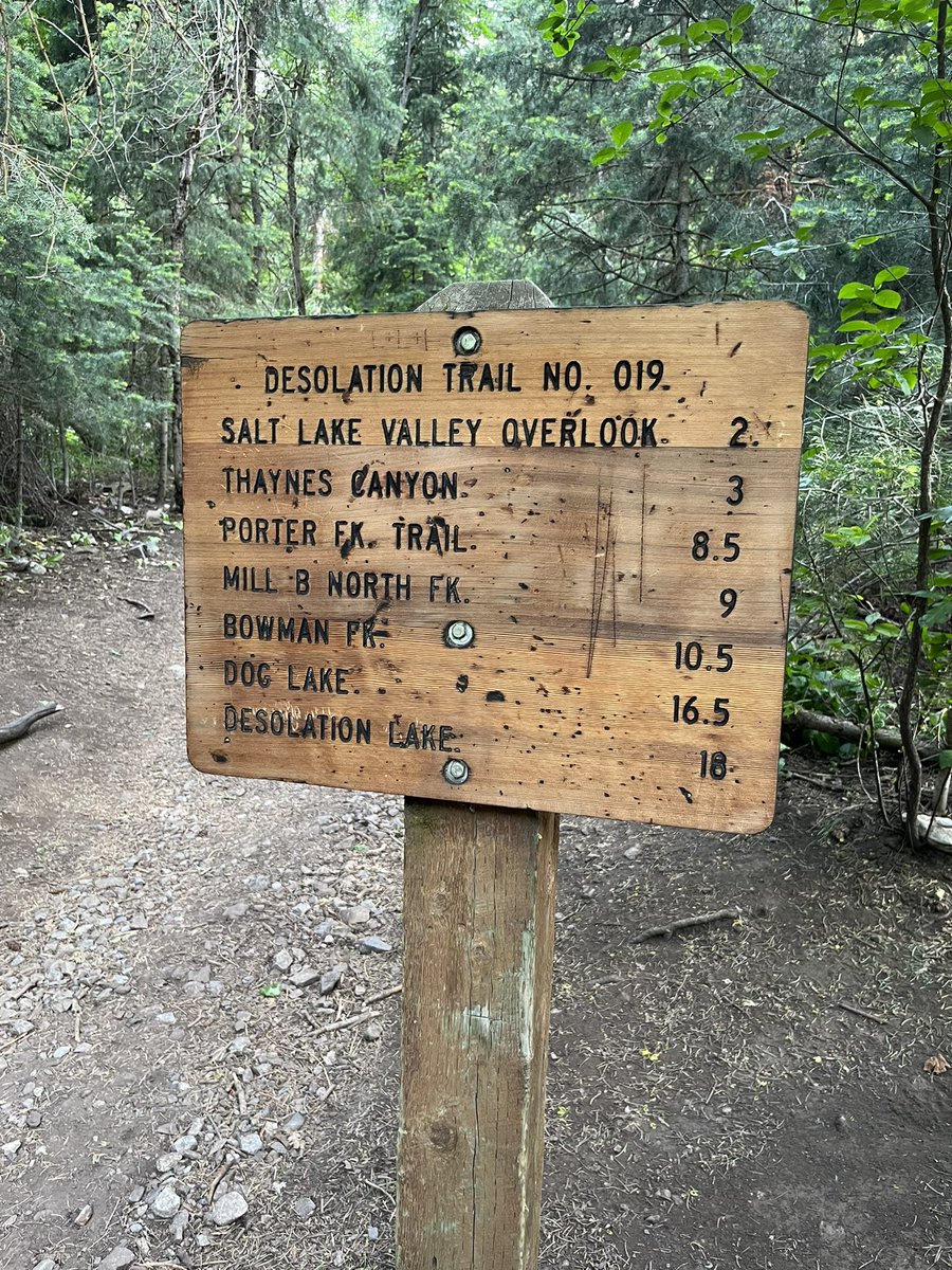 Stephani Itibrout tweet media