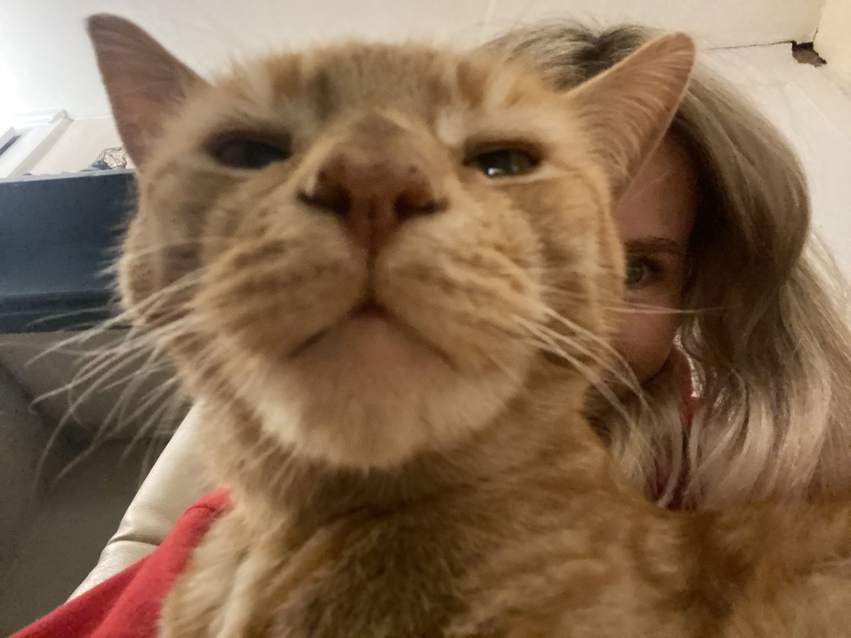 squimchyhoney's tweet image. i see you.   and i judge you  .  think about that