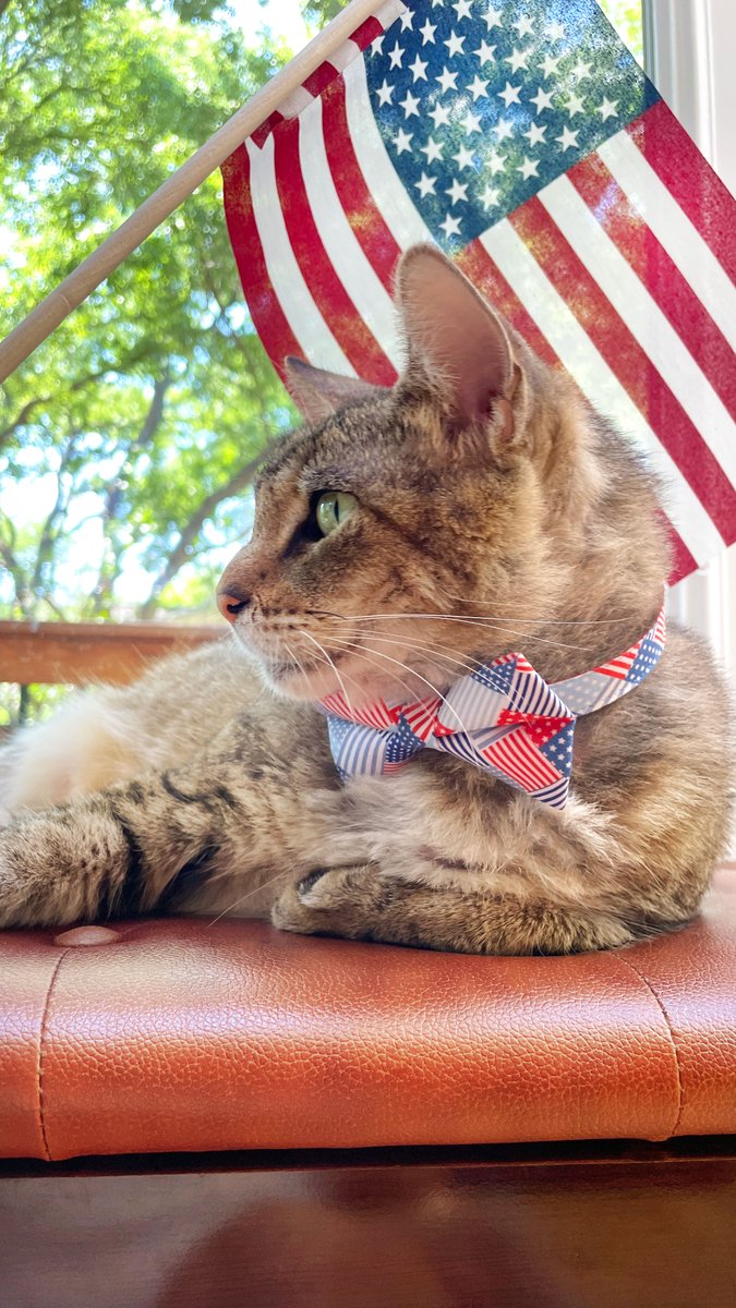 MadeByCleo's tweet photo. Red white &amp; cute.❤️🐈 🤍🐕 💙 25% OFF all Patriotic / IndependenceDay #catcollar, #catbowtie &amp; #catbandana styles! Also, collar charms, bells, flowers, metal buckle upgrades + AirTag holders are on sale! Expires Monday 6/12/23.✨ https://t.co/vAg7kaaU1s #pets #catsoftwitter #cats https://t.co/4uxdrdatNA