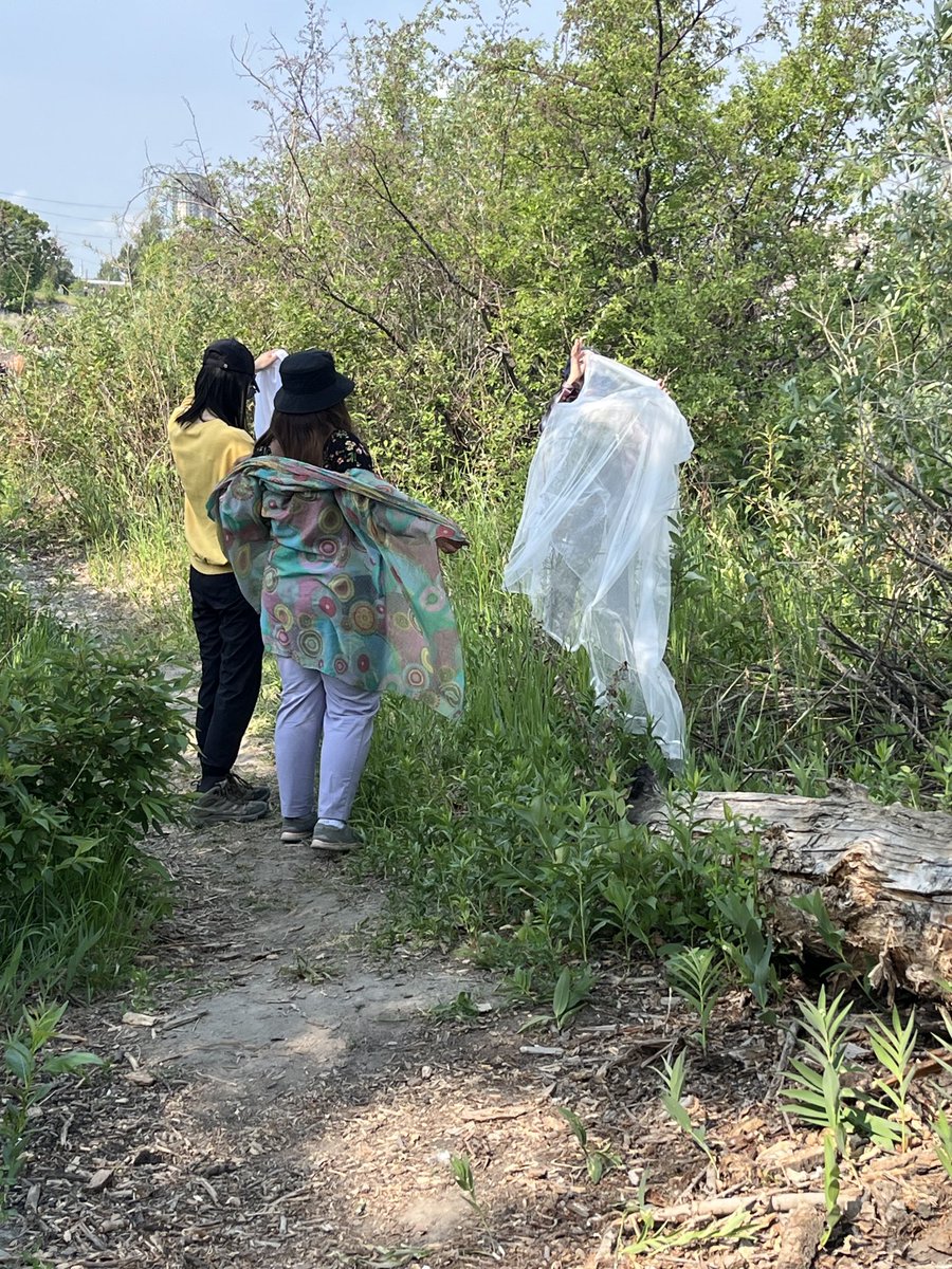 Facultyoutdoors's tweet image. Playing and learning outdoors benefits adult learners, their instructors, and creates an appreciation for nature no matter the context- urban, rural, patio, deck, field or roof top! #outdoorpedagogyresearch