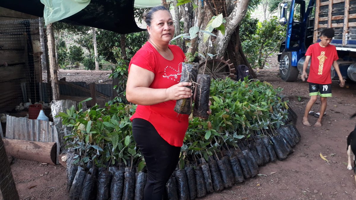 Col_Sostenible1's tweet photo. En #LaPaz #Cesar sembramos:👇🏻
📌113.970 plantas de cacao🍫 (1.310 por beneficiario)
📌10.005 árboles maderables🌳 (115 por beneficiario).
Así optimizamos 1️⃣7️⃣4️⃣ hectáreas en cultivos de cacao🍫 de 8️⃣7️⃣ familias de #Cacaoriente, gracias al apoyo de @fcolombiaenpaz y @el_BID 🔆 https://t.co/xLr45pvuoF