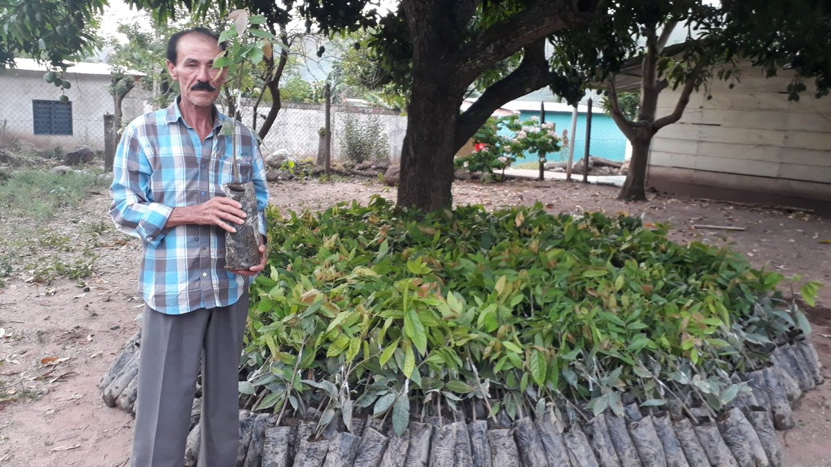 Col_Sostenible1's tweet photo. En #LaPaz #Cesar sembramos:👇🏻
📌113.970 plantas de cacao🍫 (1.310 por beneficiario)
📌10.005 árboles maderables🌳 (115 por beneficiario).
Así optimizamos 1️⃣7️⃣4️⃣ hectáreas en cultivos de cacao🍫 de 8️⃣7️⃣ familias de #Cacaoriente, gracias al apoyo de @fcolombiaenpaz y @el_BID 🔆 https://t.co/xLr45pvuoF