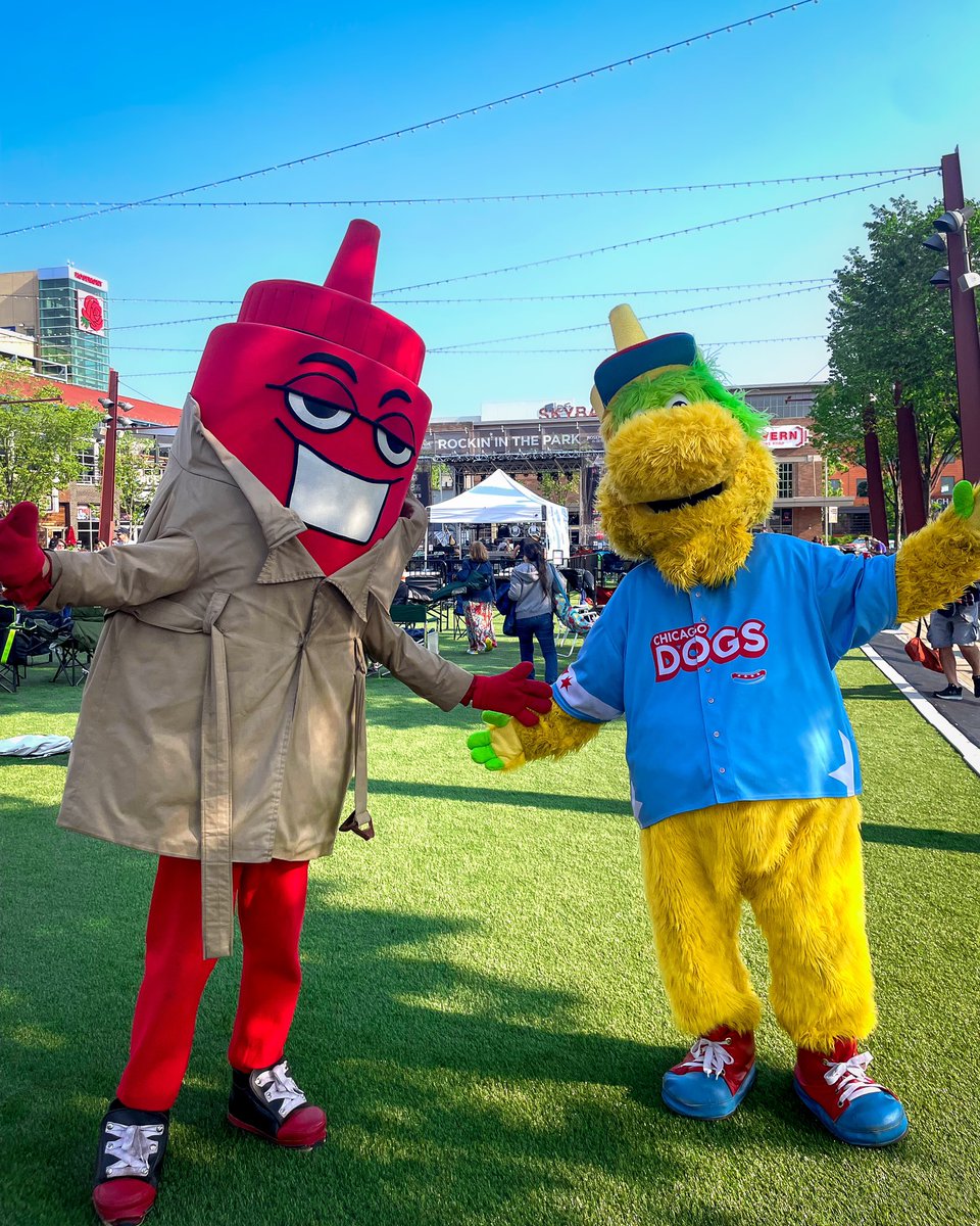 Chicago Dogs on Twitter "Squeeze & Ketchup had a blast last night at Rosemont’s Rockin’ in the