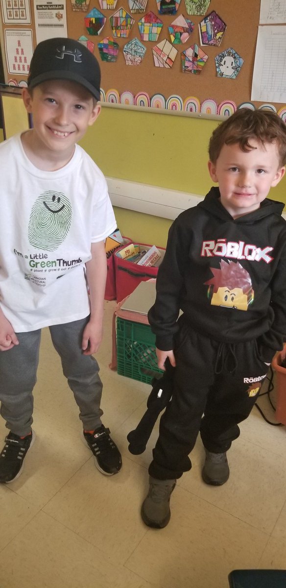 Ms.Doyle Grade 3 tweet media