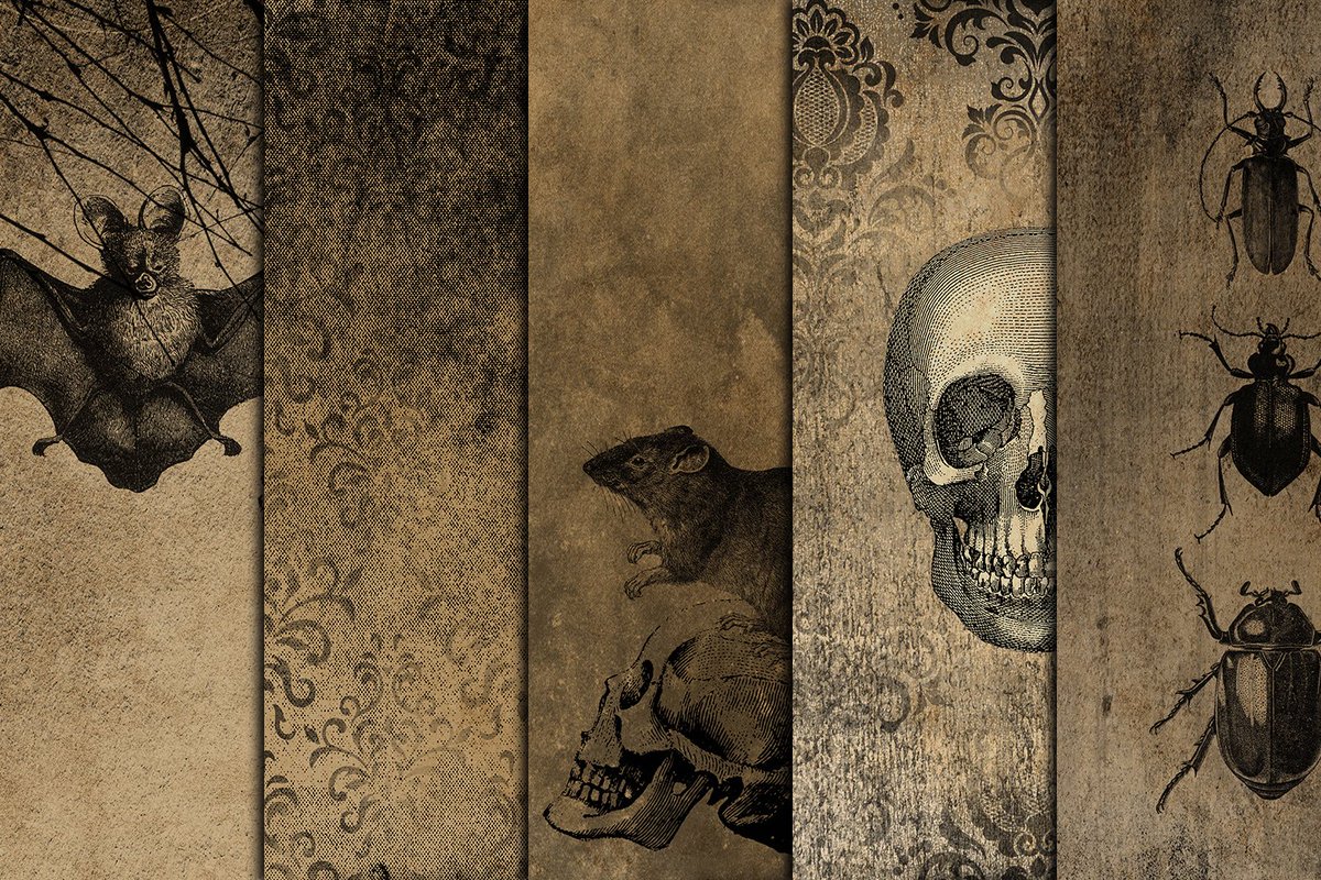 bamalamart's tweet photo. Limited Time Freebie.
#Victorian #Halloween backgrounds set (one of our best sellers) is #free for #digitaldownload for a limited time to celebrate the launch of the new website.
https://t.co/f3kuYTDmCz https://t.co/nwpEYKlRvx