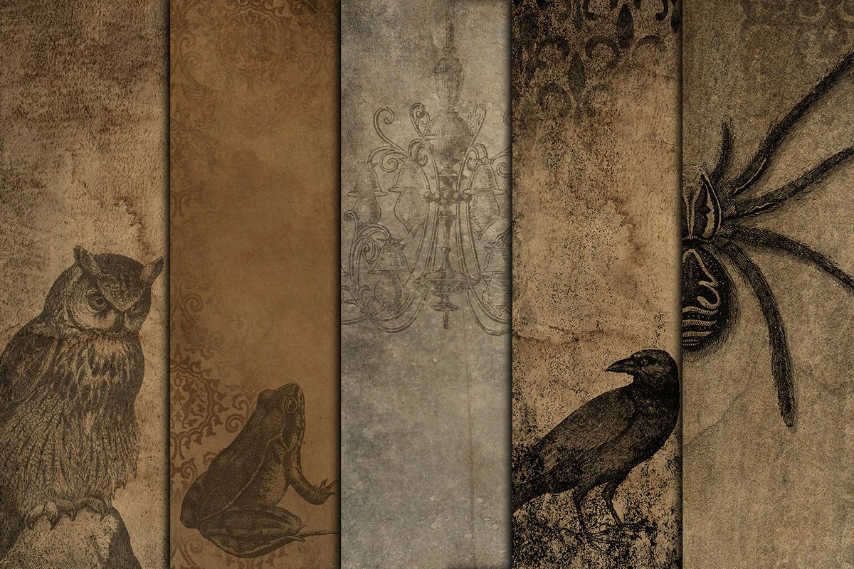 bamalamart's tweet photo. Limited Time Freebie.
#Victorian #Halloween backgrounds set (one of our best sellers) is #free for #digitaldownload for a limited time to celebrate the launch of the new website.
https://t.co/f3kuYTDmCz https://t.co/nwpEYKlRvx