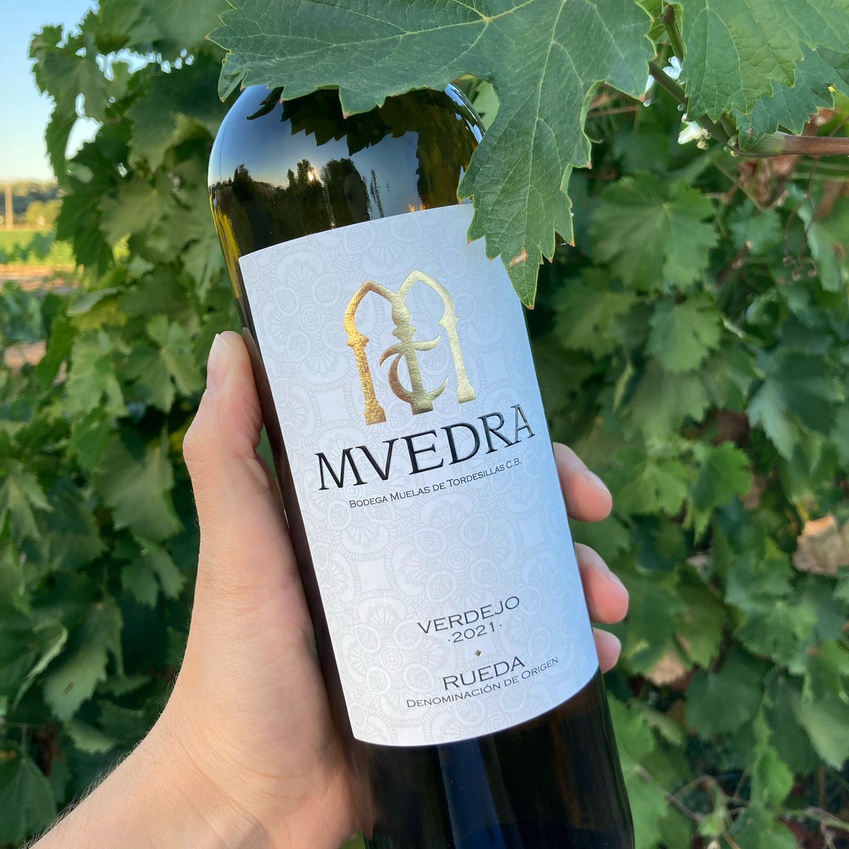 Feliz día mundial del verdejo! ✨ 🌎 • @DORueda #díadelverdejo #verdejoday #muedra #bodegamuelas #verdejowine