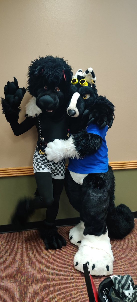 OmegeyDog's tweet photo. Well I see everyone doing this so... Here are my two fursuits I have! My poodle Cadillac and my English bull terrier Omegey! They are both special to me as they both show my masculine and feminine side! #FursuitFriday Fursuit vs Fursuiter https://t.co/Ryizkywibq