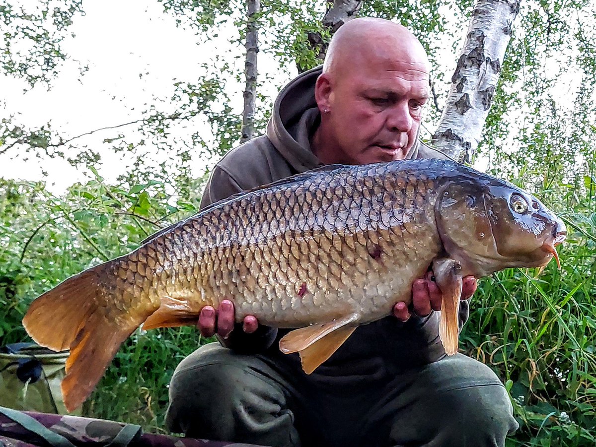 Nice common to start at 15lb on the nose with a few spawning scares, that will do.
Caught using the Rig-It Tackle end gear on a trigga ice wafter over a bed of trigga ice and BFM from Nutrabaits .
<a href="/OfficialNutra/">Nutrabaits</a> <a href="/Rigit_Tackle/">Rig It Tackle</a> <a href="/angling_gct/">GCT Angling Ltd</a> @habectechangling