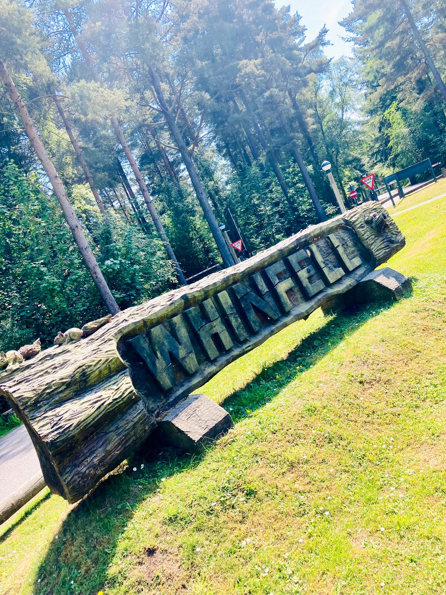 ✨Caravan Life✨ tweet media