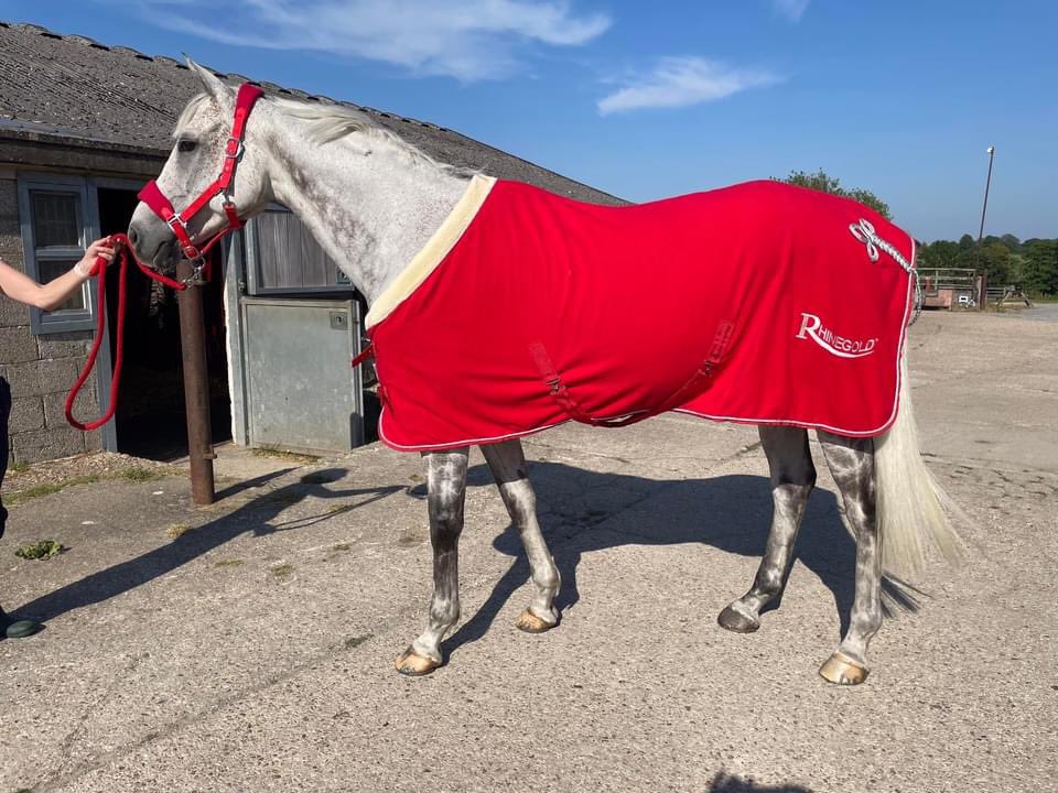 steve philby tweet media