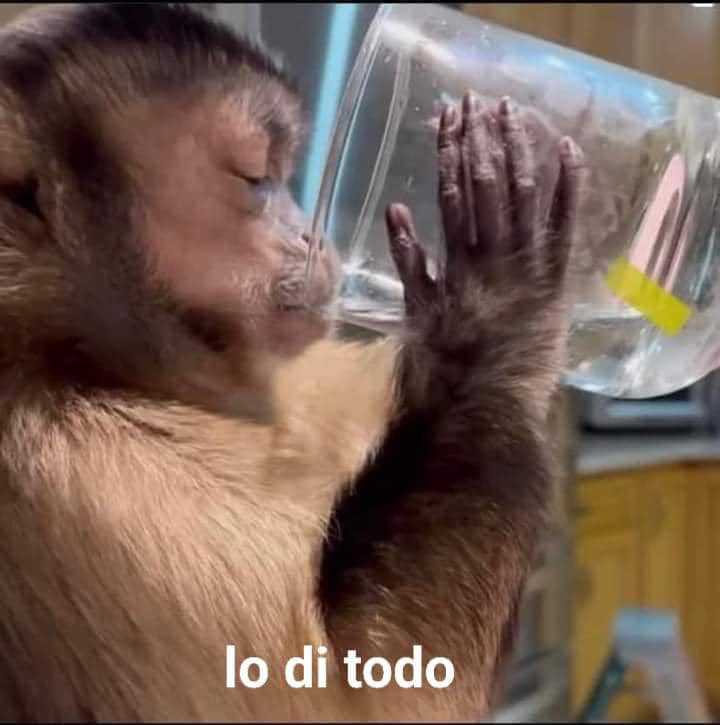 yo esta semana
