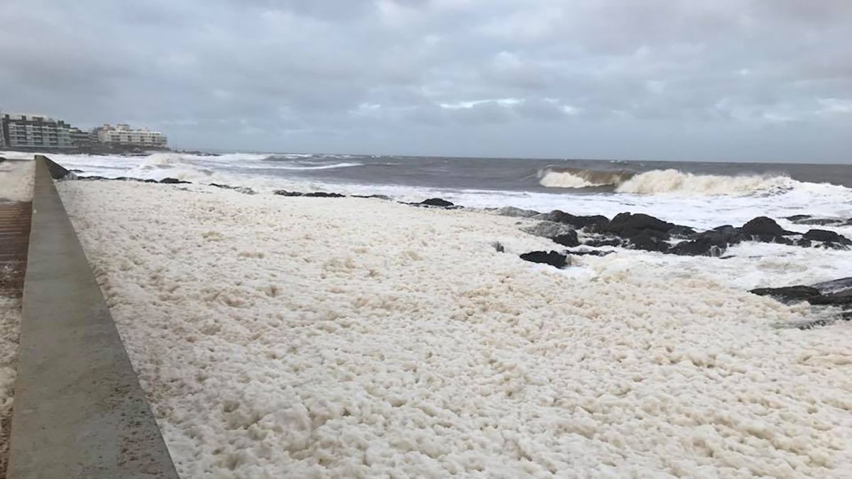 MaldonadoUY's tweet photo. #IDMinforma Muy bajas sensaciones térmicas en la costa tienen en fase de Preparación a los Cecoed https://t.co/t6i9m6QJZQ https://t.co/g8nStdQN3e