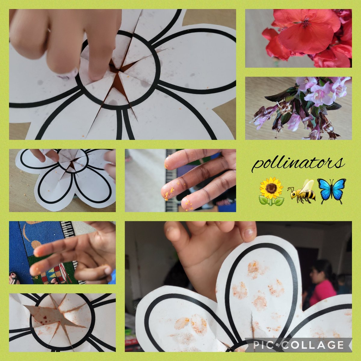 Learning about the parts of a flower and pollinators in Grade 3 <a href="/AshleyOaksPS/">Ashley Oaks PS</a> What a fun activity Ms. Kingsbury planned to bring it all home with how pollination works!
