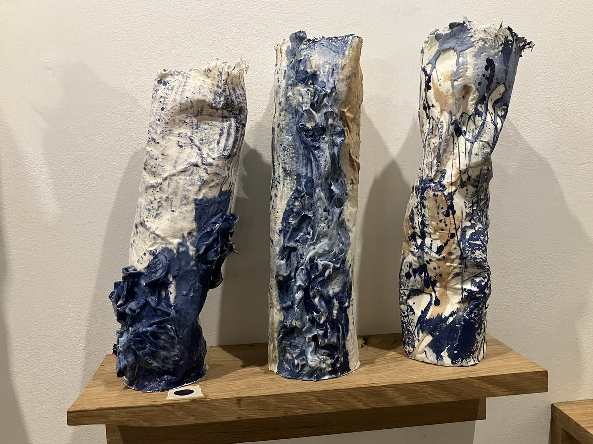 Professor Cara Aitchison tweet media