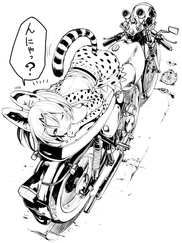 今日の過去絵は、野良サーバルちゃんとSR400です。  野良猫さん、バイクのシートの上すきだよなー。