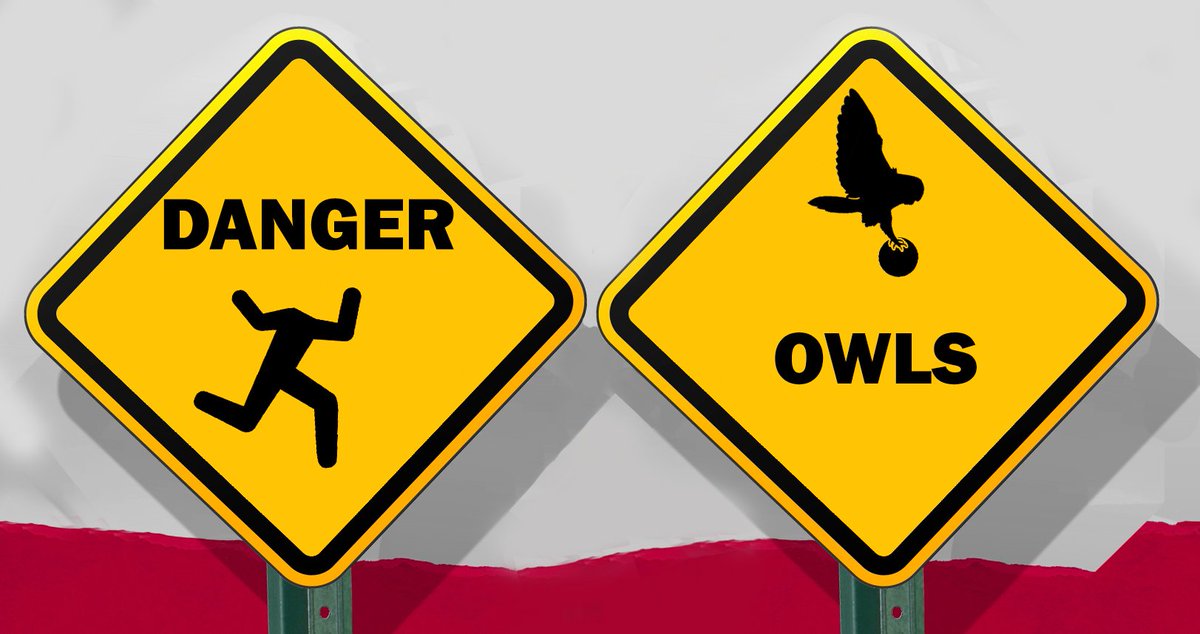 fleur_de_LA's tweet photo. Areas with signs like this.๐ฆ๐ข
#ThingsYouShouldAvoid https://t.co/2NyN3fSDEw