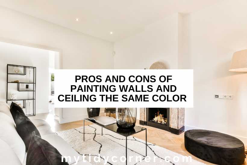 The best way to decide on #painting the walls and ceilings the same color is to do research. Here's some #homehelp.  cpix.me/a/171270751