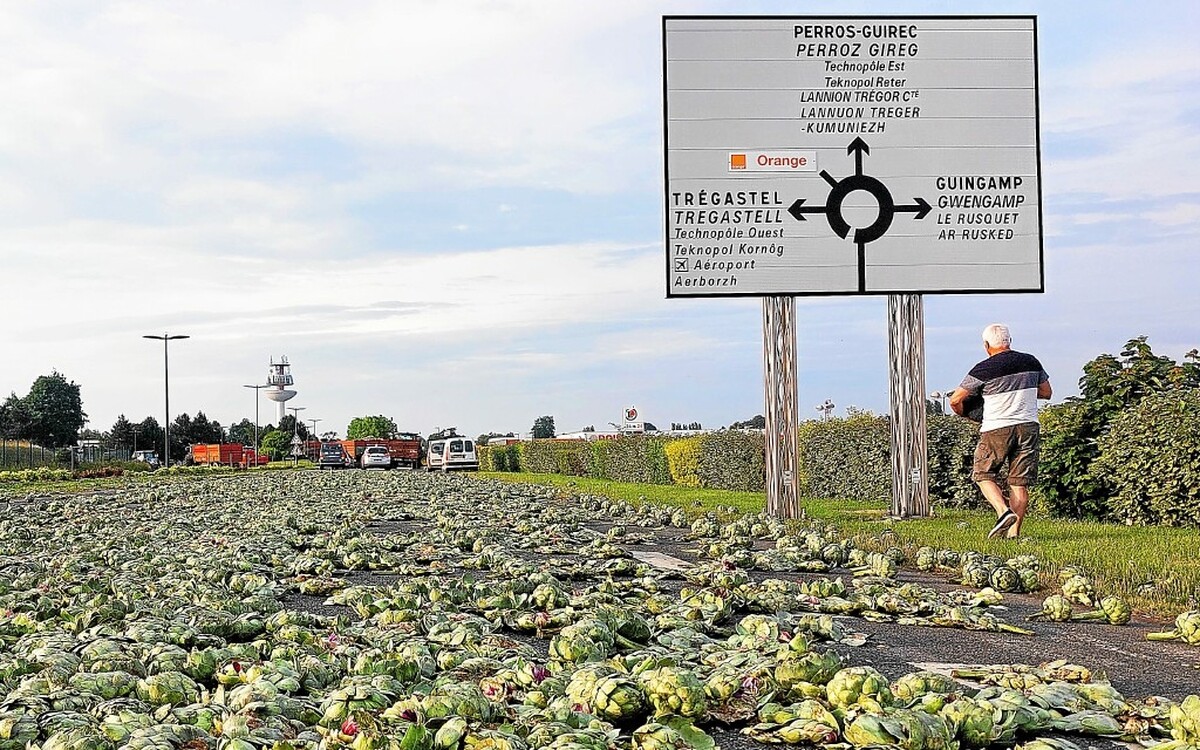 À Lannion, les producteurs d’artichauts déversent leur colère - Lannion – actualités et informations locales en direct | Le Télégramme
➡️ go.letelegramme.fr/5OCY