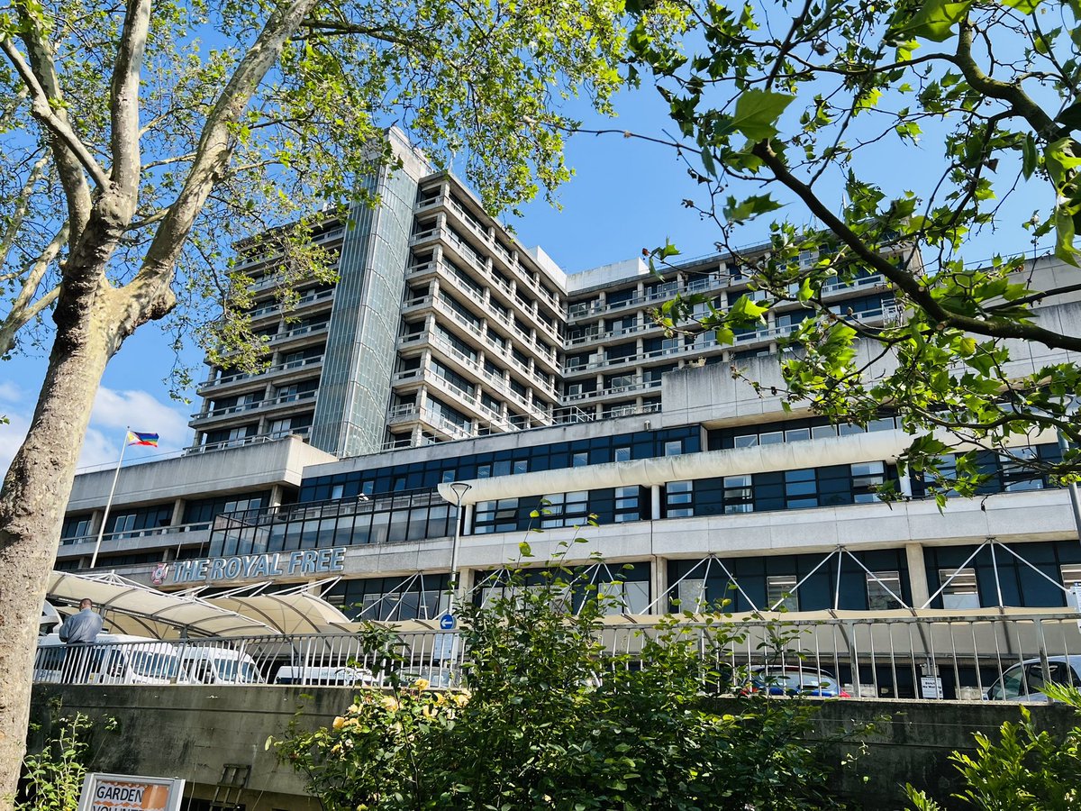 MacCaberoy's tweet photo. New work environment. CPE ☺️
@RoyalFreeNHS https://t.co/VdiHXAcSiy