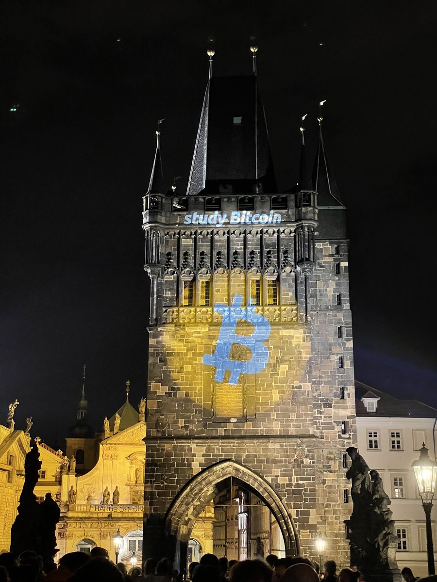 Ingo ⚡️ tweet media